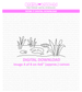 Scene It **Digital Download**